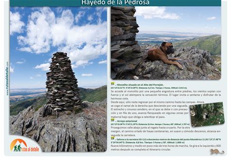 Ruta Hayedo De La Pedrosa Segovia Rutas Al Detalle