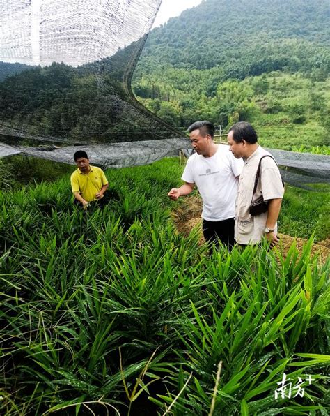 工作隊傾情助農，產業發展有奔頭｜乳源 每日頭條