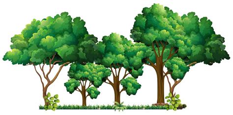 Jungle Trees Vector Art Icons And Graphics For Free Download