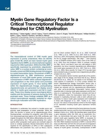 Myelin Gene Regulatory Factor Is A Critical Transcriptional