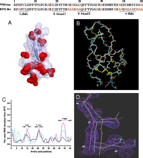 Crystal Structure Of An Extensively Simplified Variant Of Bovine Pancreatic Trypsin Inhibitor In