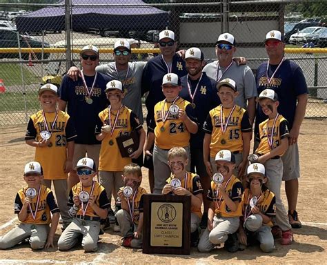 North Ridgeville 8u Captures State Championship With 9 6 Win Over