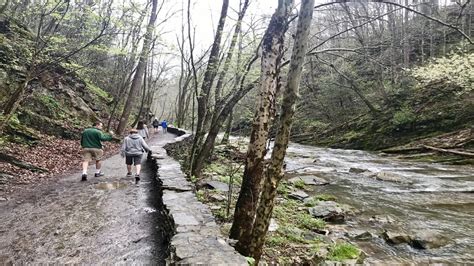 How To Spend The Day At Natural Bridge State Park