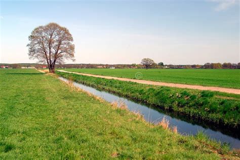 Ditch Stock Photo Image Of Drainage Concern Environment 262038