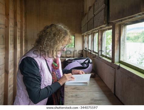 identify birds images stock  vectors shutterstock