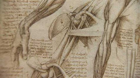 Una exposición que deja ver una faceta de Leonardo Da Vinci La