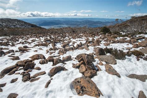 Snow On Mount Wellington, Tasmania Stock Photo - Image of scenic ...