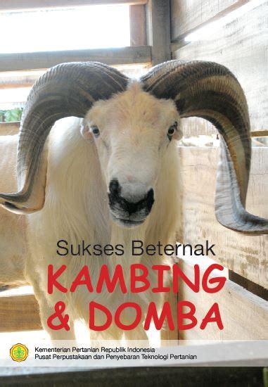 Sukses Beternak Kambing Domba