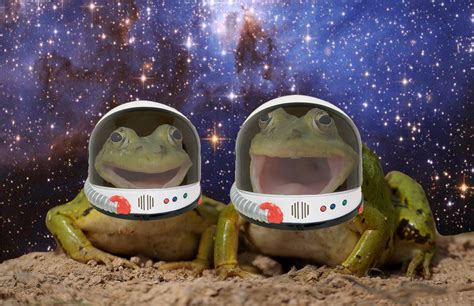 Frog astronauts (by Derp-Motions) : r/frogspace