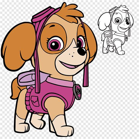 paw patrol canine girl kid color puppy drawing skye png pngegg