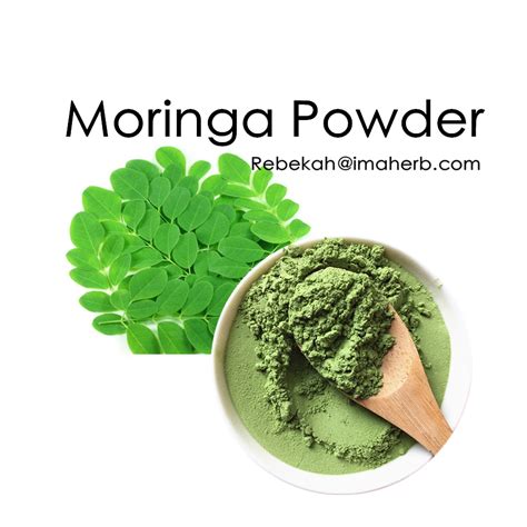 Moringa Leaf Powder Organic Moringa Oleifera Leaves Powder