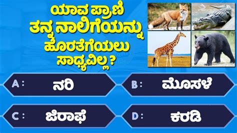 Gk Question Interesting Gk In Kannada Gk Question And Answer Gk