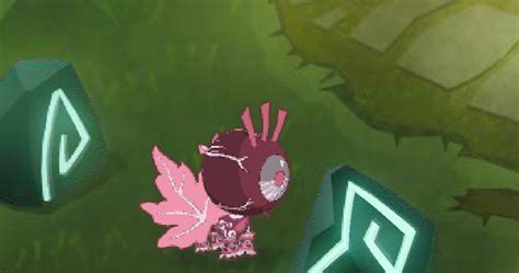 The Animal Jam Friendship Community Balloosh Theories Eyes