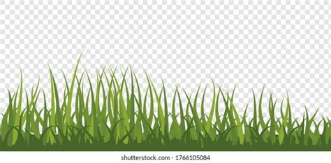 Realistic Green Grass Lawn Border Meadow Stock Vector Royalty Free 1766105084 Shutterstock