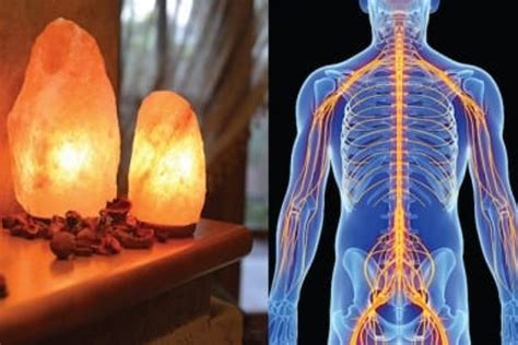 Lampada Di Sale Himalayano Scopri Cosa Succede Al Tuo Corpo E All