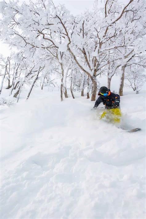 Niseko Ski Resort 25 Things To Know Before You Visit