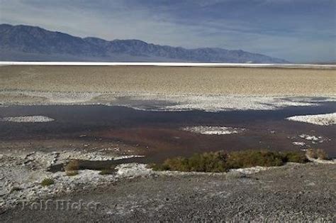 Desert Biomes | Photo, Information