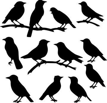 Premium Vector | Silhouette bird animal group image