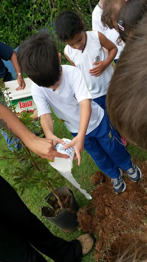 Escola Adalmir Lugar De Crian A Feliz Plantando Novas Rvores