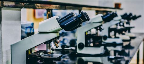 Different Types of Laboratory Microscopes and Their Functions ...