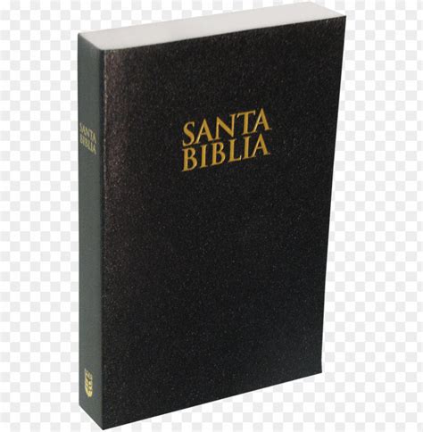 Santa Biblia Dise O Gr Fico Ilustraci N Vectorial Ilustraciones Clip