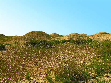 Dilmun Burial Mounds UNESCO World Heritage Site Bahrain | Bahrain-USA