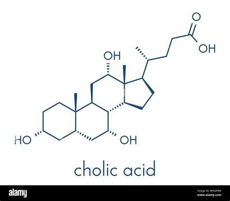 Cholic Acid Cholate Molecule Main Bile Acid Component Skeletal