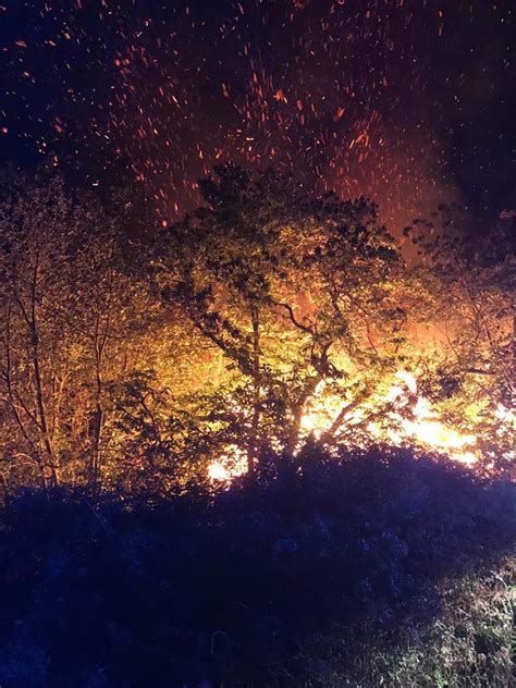 Sigue en directo la evolución del incendio de Tenerife