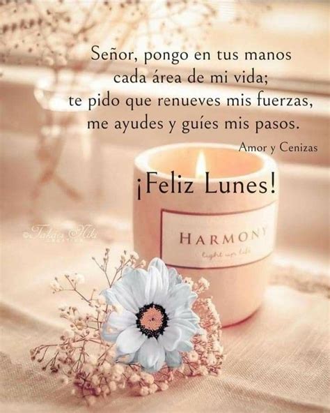 Pin de Mayte en Feliz lunes Imágenes con frases de buenos días