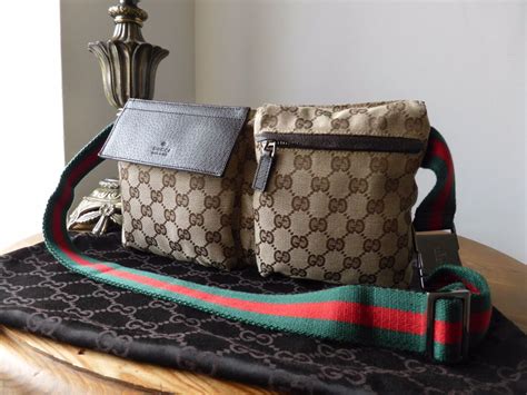 Gucci Belt Purse | Literacy Basics