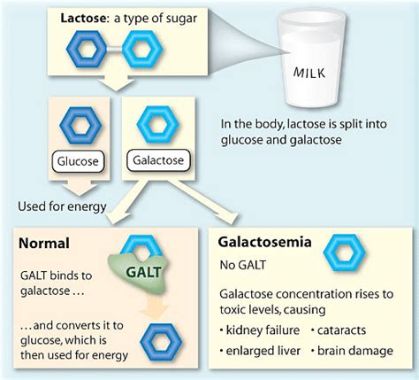 Galactose Formula Properties Structure And Uses