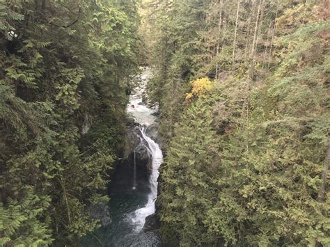 Suspension Bridges Day: Visiting Capilano and Lynn Canyon - Places and