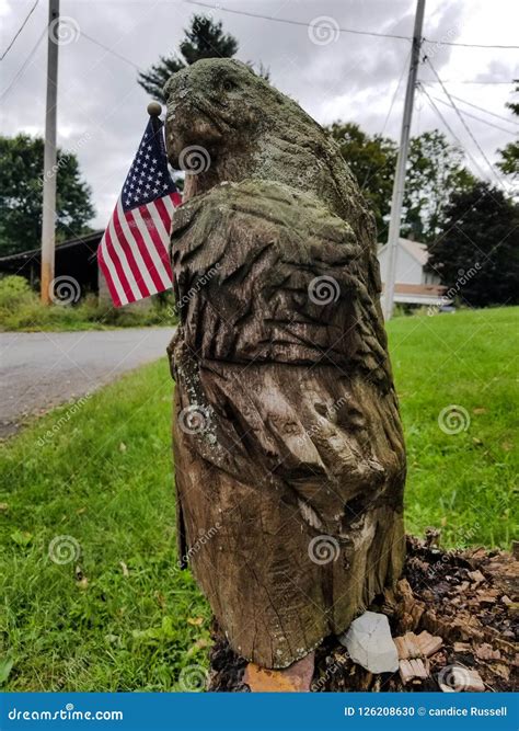 Patriotic Wooden Eagle in My Neighbor& X27;s Yard Stock Photo - Image