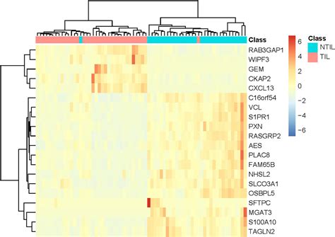 Frontiers Identification And Analysis Of Dysfunctional Genes And