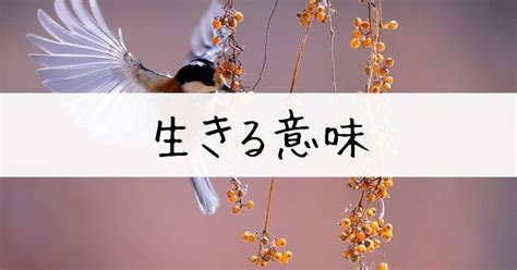 「生きる意味がわからない」明確な答えはただひとつ。生きる意味を見失ったあなたへ。 さいちょうの開脳日記