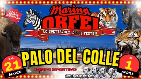 Gli Artisti Del Circo Marina Orfei Portano Sorrisi In Ospedale