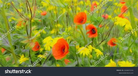 Summer Field Flowers Background Red Poppy Stock Illustration 2226071531 ...