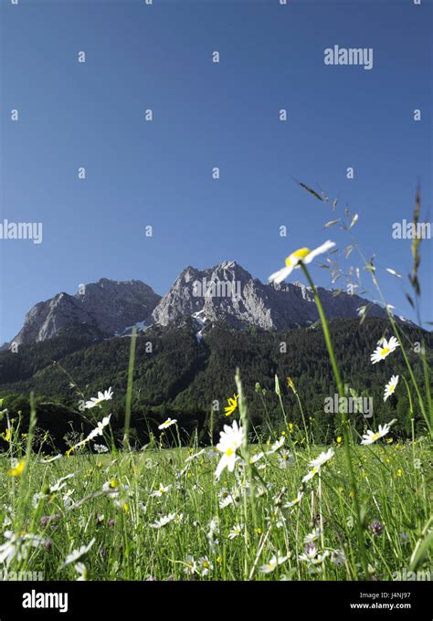 Germany Bavaria Garmisch Partenkirchen Meadow Mountains View