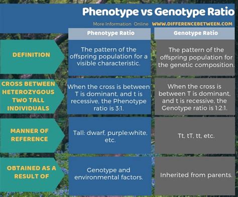 Difference Between Phenotype and Genotype Ratio | Compare the ...