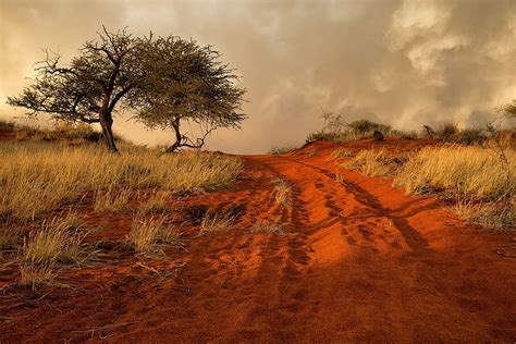 Dirt Road In The African Savanna Hd Wallpaper Pxfuel