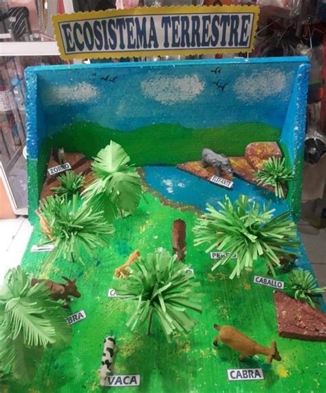 Maqueta Ecosistema Terrestre Maquetas De Ecosistemas Tipos De Ecosistemas Ecosistemas