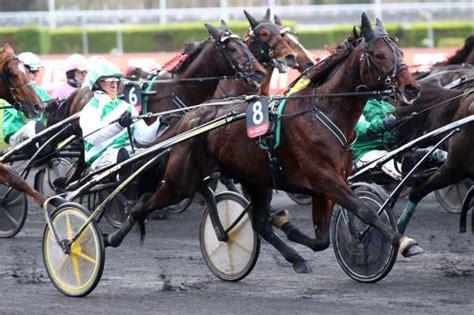 Pronostic Quint Pmu Du Prix D Amerique Races Zeturf Q Prix De