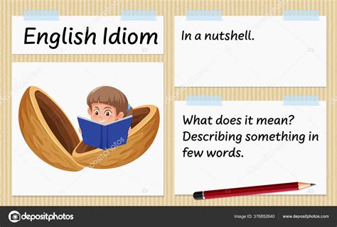 English Idiom Nutshell Template Illustration Stock Vector By ©brgfx