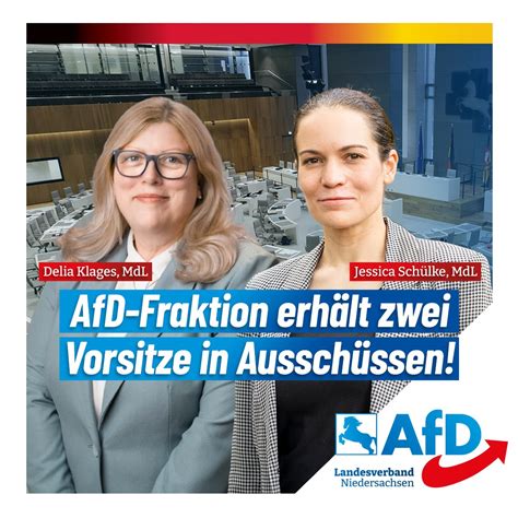 Afd Fraktion Erh Lt Zwei Vorsitze In Aussch Ssen Afd Landesverband