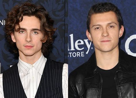 Timothée Chalamet Vs Tom Holland Per Il Ruolo Di Willy Wonka