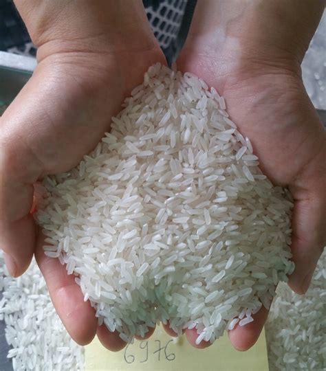 Buy Vietnam Long Grain White Rice 5 Broken 6976 Variety 6976 Rice