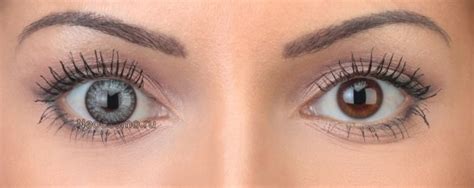 Freshlook ColorBlends (2 шт)ы | Купить в интернет-магазине Viplinza