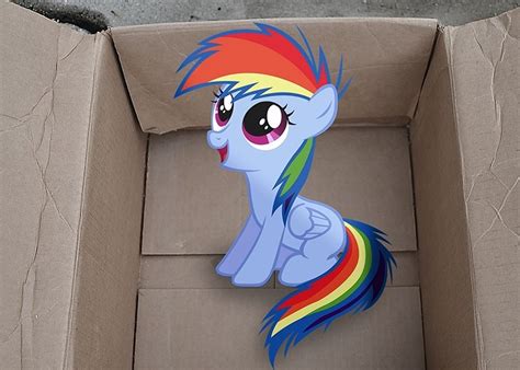 My Little Dashie My Little Pony Fan Labor Wiki Fandom