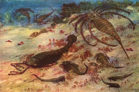 Extinct Animal Of The Week Thanking Charles Knight