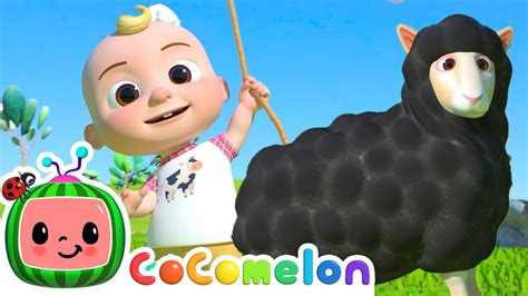 Baa Baa Black Sheep | CoComelon Nursery Rhymes & Kids Songs Acordes - Chordify